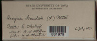 Image Associated With the Occurence